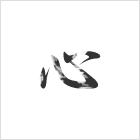 心""